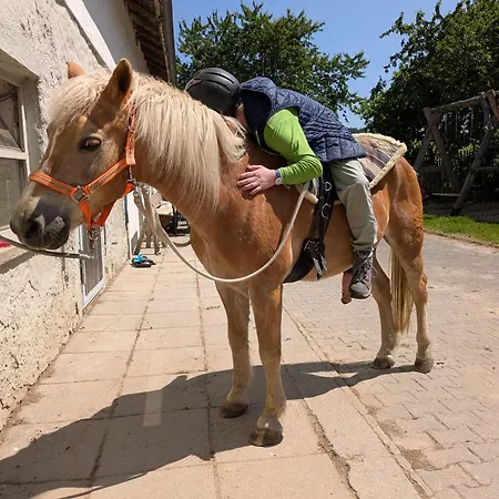 Ponyhof Adam Urlaub Auf Dem Bauernhof Apartmán