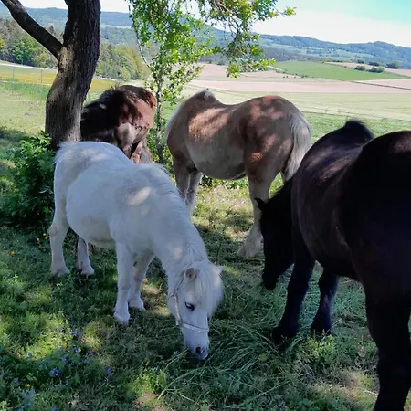 Apartmán Ponyhof Adam Urlaub Auf Dem Bauernhof