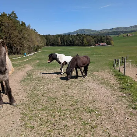 Ponyhof Adam Urlaub Auf Dem Bauernhof Apartmán Eschlkam