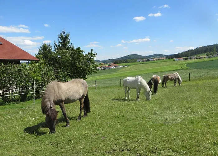 Ponyhof Adam Urlaub Auf Dem Bauernhof * Eschlkam