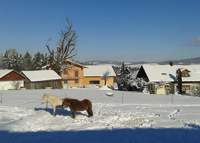 Ponyhof Adam Urlaub Auf Dem Bauernhof Eschlkam