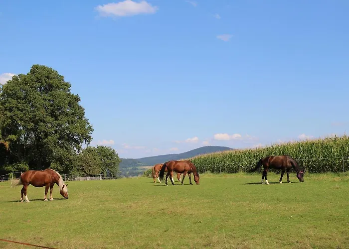 شقة Ponyhof Adam Urlaub Auf Dem Bauernhof *