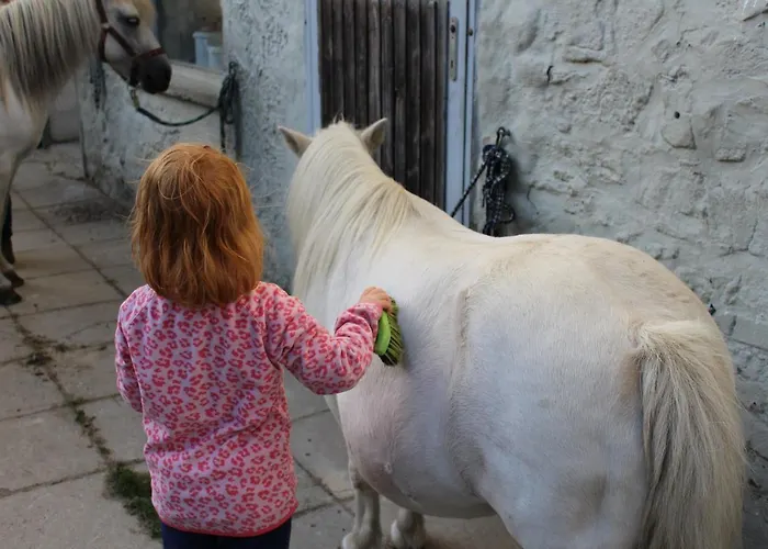 Ponyhof Adam Urlaub Auf Dem Bauernhof شقة Eschlkam