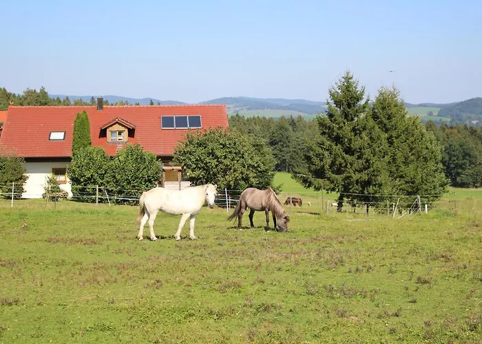 Ponyhof Adam Urlaub Auf Dem Bauernhof Eschlkam