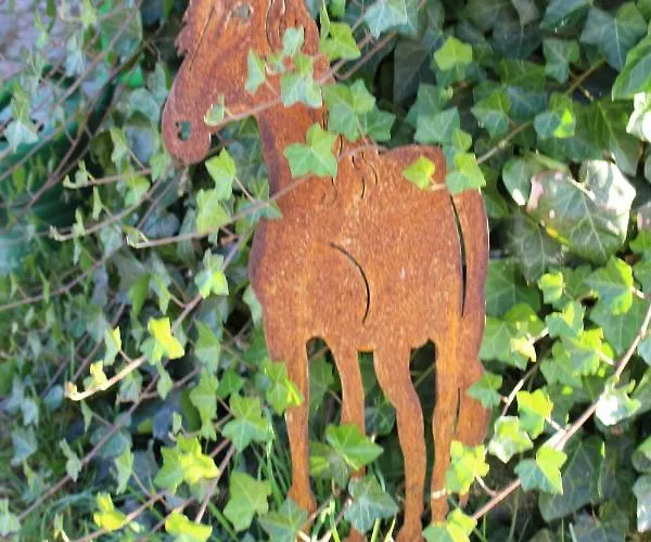 Ponyhof Adam Urlaub Auf Dem Bauernhof *