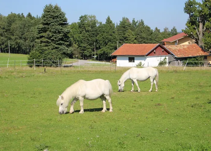 Ponyhof Adam Urlaub Auf Dem Bauernhof * Eschlkam