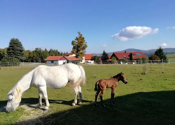 Ponyhof Adam Urlaub Auf Dem Bauernhof شقة *