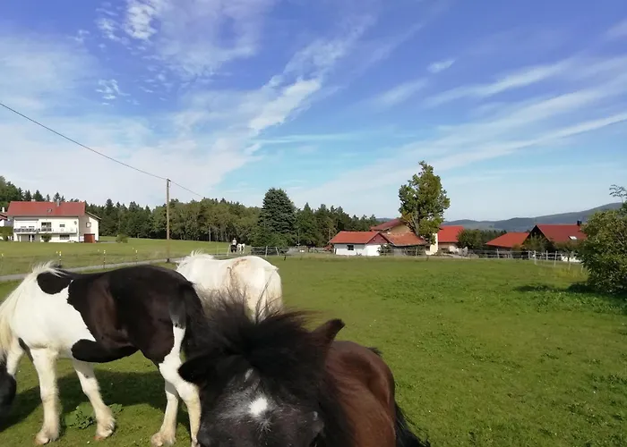 Ponyhof Adam Urlaub Auf Dem Bauernhof شقة