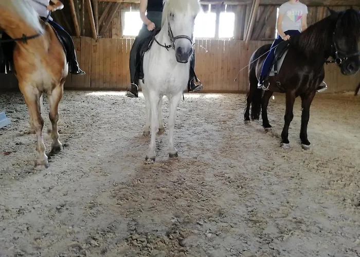 Ponyhof Adam Urlaub Auf Dem Bauernhof Eschlkam