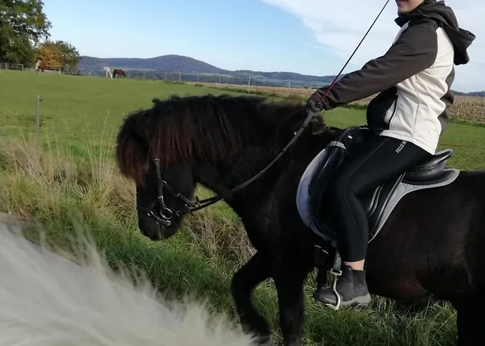 Ponyhof Adam Urlaub Auf Dem Bauernhof * Eschlkam