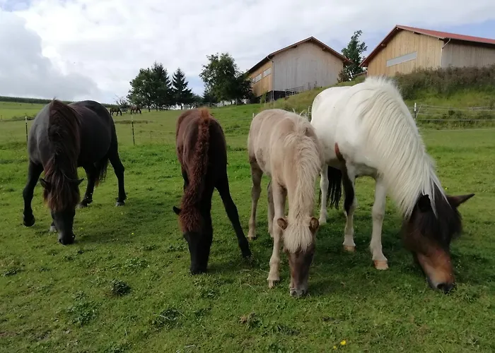 Ponyhof Adam Urlaub Auf Dem Bauernhof شقة