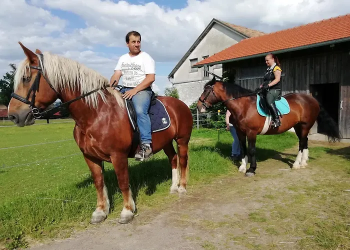 Ponyhof Adam Urlaub Auf Dem Bauernhof * Eschlkam