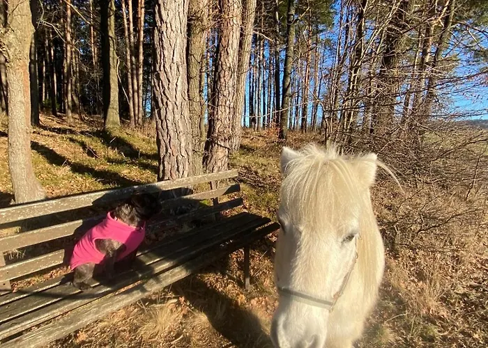 Ponyhof Adam Urlaub Auf Dem Bauernhof *