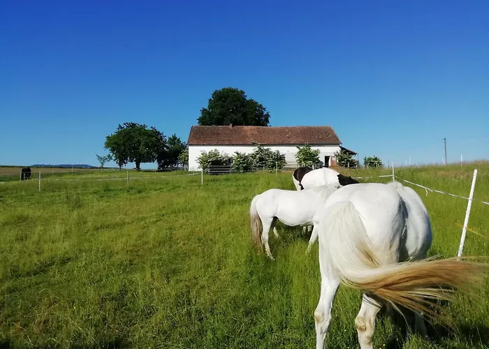 Ponyhof Adam Urlaub Auf Dem Bauernhof * Eschlkam