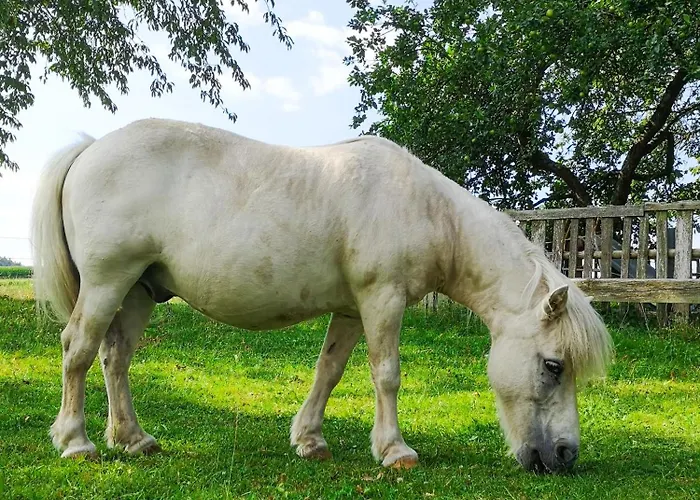 شقة Ponyhof Adam Urlaub Auf Dem Bauernhof *