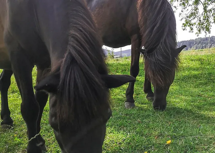 شقة Ponyhof Adam Urlaub Auf Dem Bauernhof Eschlkam