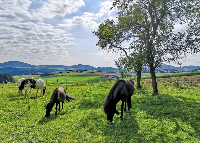 Ponyhof Adam Urlaub Auf Dem Bauernhof *