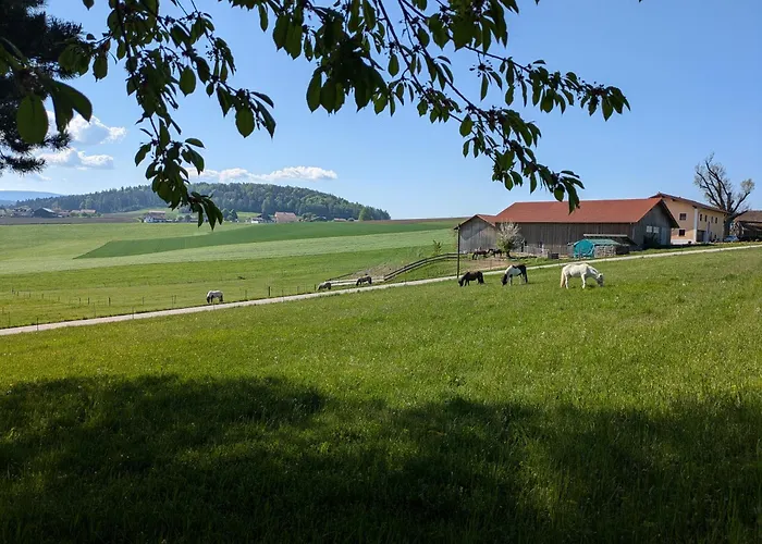 Ponyhof Adam Urlaub Auf Dem Bauernhof
