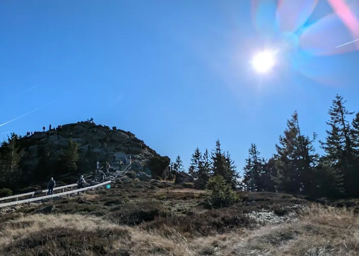 Ponyhof Adam Urlaub Auf Dem Bauernhof Eschlkam